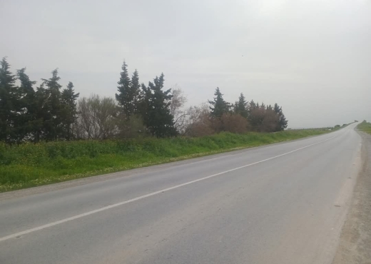 A Vendre Terrain Agricole GP8