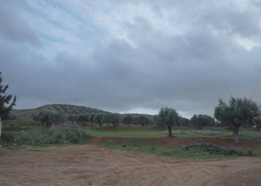 A vendre un très beau terrain  à Sidi Thabet - Bien immobilier à {"id":1,"country_id":219,"name":"ARIANA","slug":"ariana"} - Agence Immobilière immo\'in