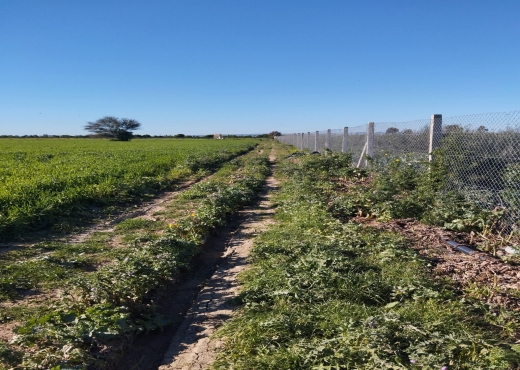 A vendre terrain agricole a Sidi Thabet