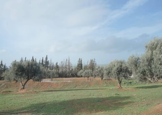 A vendre un très beau terrain  à Sidi Thabet