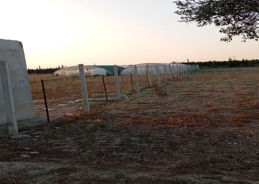 للبيع في سيدي ثابت 2500 متر