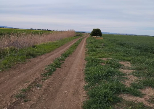 للبيع قطعة أرض جميلة جدا في موقع ممتاز