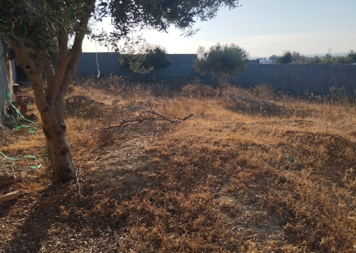A Vendre Terrain a Ennahli ariana - Bien immobilier à {"id":1,"country_id":219,"name":"ARIANA","slug":"ariana"} - Agence Immobilière immo\'in