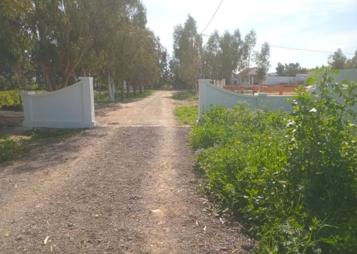 A vendre des lots de terrain à utique - Bien immobilier à {"id":4,"country_id":219,"name":"BIZERTE","slug":"bizerte"} - Image 3 - Agence Immobilière Maison Plus Elite