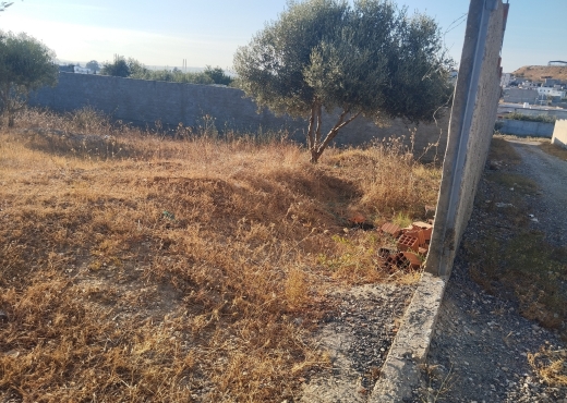 A Vendre Terrain a Ennahli ariana - Bien immobilier à {"id":1,"country_id":219,"name":"ARIANA","slug":"ariana"} - Image 2 - Agence Immobilière Maison Plus Elite