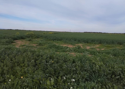 للبيع قطعة أرض جميلة جدا في موقع ممتاز - Bien immobilier à {"id":1,"country_id":219,"name":"ARIANA","slug":"ariana"} - Agence Immobilière immo\'in