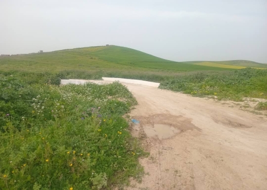 للبيع قطع أرض في سيدي ثابت-شرفش - Bien immobilier à {"id":1,"country_id":219,"name":"ARIANA","slug":"ariana"} - Image 2 - Agence Immobilière Maison Plus Elite