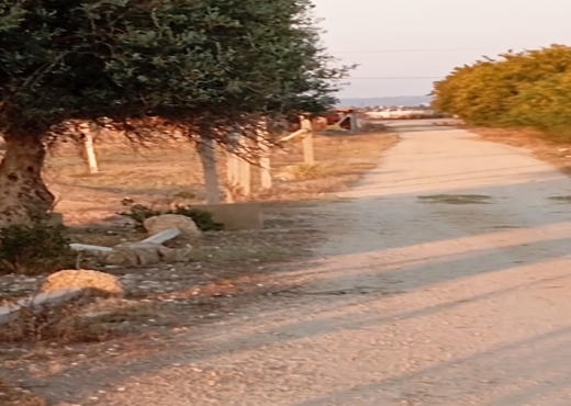 للبيع في سيدي ثابت 2500 متر - Bien immobilier à {"id":1,"country_id":219,"name":"ARIANA","slug":"ariana"} - Image 4 - Agence Immobilière Maison Plus Elite