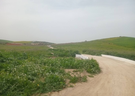 للبيع قطع أرض في سيدي ثابت-شرفش - Bien immobilier à {"id":1,"country_id":219,"name":"ARIANA","slug":"ariana"} - Agence Immobilière immo\'in