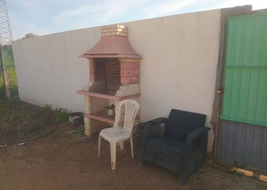 للبيع فيرمة لوز و زيتون و غلال أخرى - Bien immobilier à {"id":13,"country_id":219,"name":"MANOUBA","slug":"manouba"} - Image 3 - Agence Immobilière Maison Plus Elite