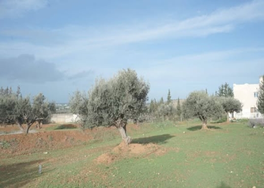 A vendre un très beau terrain  à Sidi Thabet - Bien immobilier à {"id":1,"country_id":219,"name":"ARIANA","slug":"ariana"} - Image 3 - Agence Immobilière Maison Plus Elite