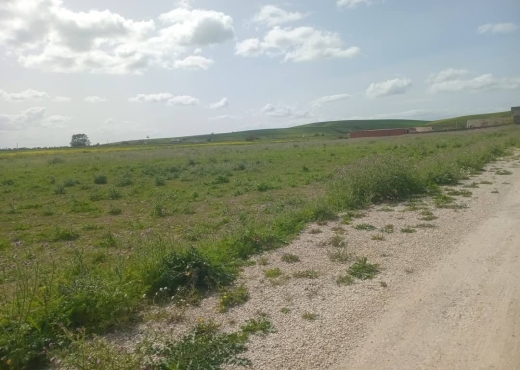 للبيع قطع أرض في سيدي ثابت-شرفش - Bien immobilier à {"id":1,"country_id":219,"name":"ARIANA","slug":"ariana"} - Image 4 - Agence Immobilière Maison Plus Elite