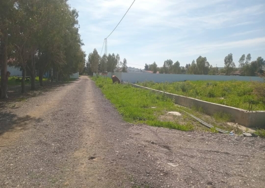 A vendre des lots de terrain à utique - Bien immobilier à {"id":4,"country_id":219,"name":"BIZERTE","slug":"bizerte"} - Agence Immobilière immo\'in