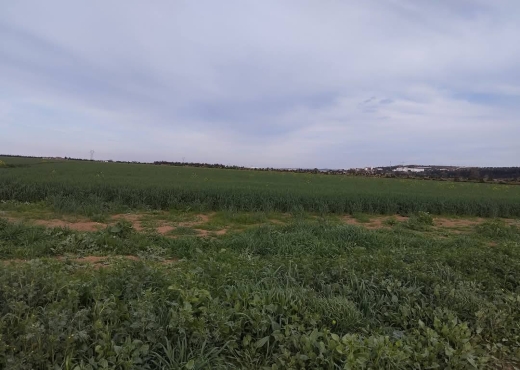 للبيع قطعة أرض جميلة جدا في موقع ممتاز - Bien immobilier à {"id":1,"country_id":219,"name":"ARIANA","slug":"ariana"} - Image 4 - Agence Immobilière Maison Plus Elite