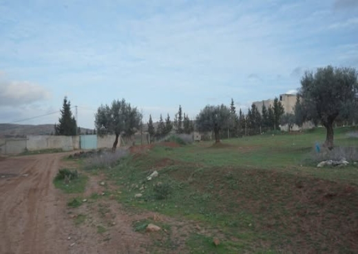 A vendre un très beau terrain  à Sidi Thabet - Bien immobilier à {"id":1,"country_id":219,"name":"ARIANA","slug":"ariana"} - Image 4 - Agence Immobilière Maison Plus Elite