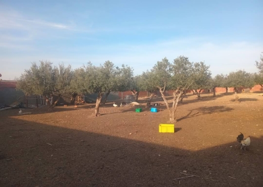 للبيع قطعة أرض في السعيدة-وادي الليل - Bien immobilier à {"id":13,"country_id":219,"name":"MANOUBA","slug":"manouba"} - Image 3 - Agence Immobilière Maison Plus Elite